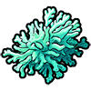antipatharia_coral
