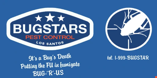 Declasse Bugstars Burrito livery 1 template