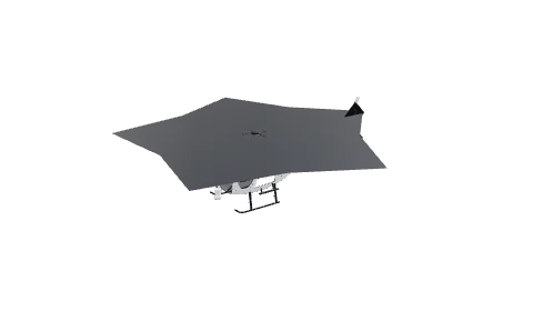 Buzzard livery template